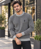 بلوز مردانه مدل یقه گرد دورنگ Polo